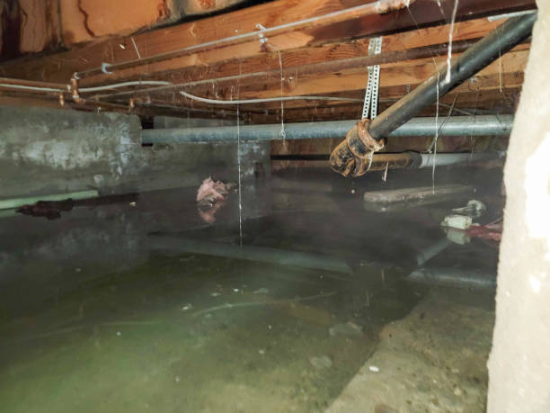 Best Sewage cleanup and water damage restoration  in Corbin, KY