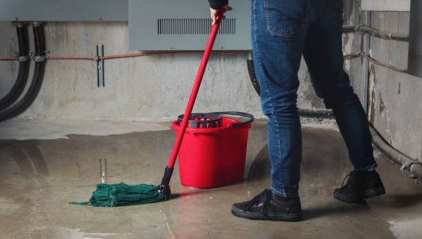Best Local water damage restoration  in Corbin, KY