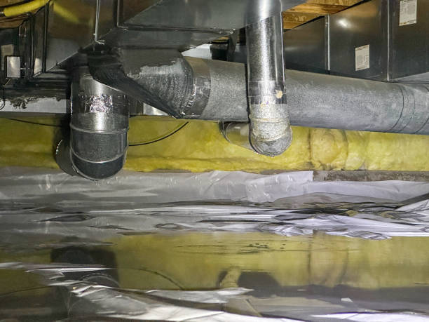 Best Basement water damage restoration  in Corbin, KY