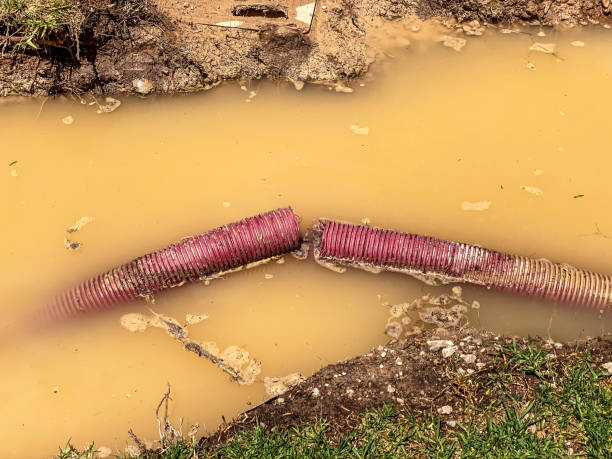 Best Commercial water damage restoration  in Corbin, KY